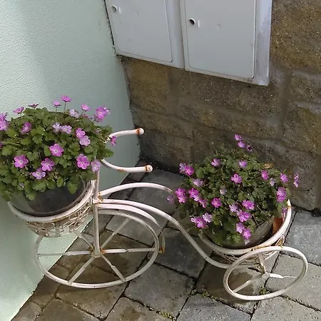 Garden View Self Catering Lough Rynn Mohill