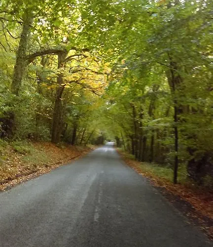 Garden View Self Catering Lough Rynn 펜션 모힐