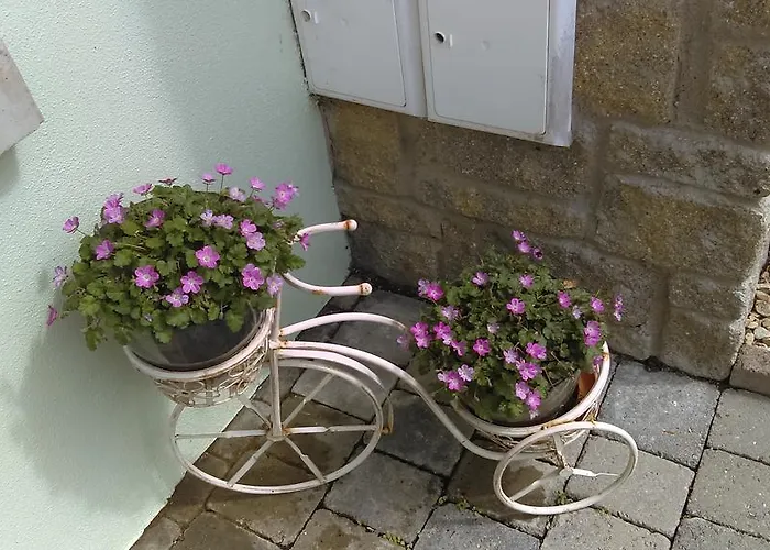 Garden View Self Catering Lough Rynn Mohill